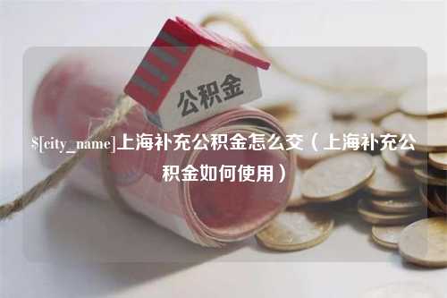 大连上海补充公积金怎么交（上海补充公积金如何使用）